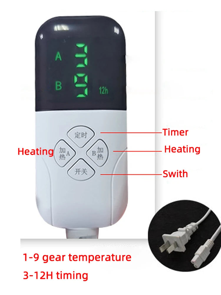 Electric blanket for winter heating